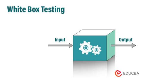 white box testing definition